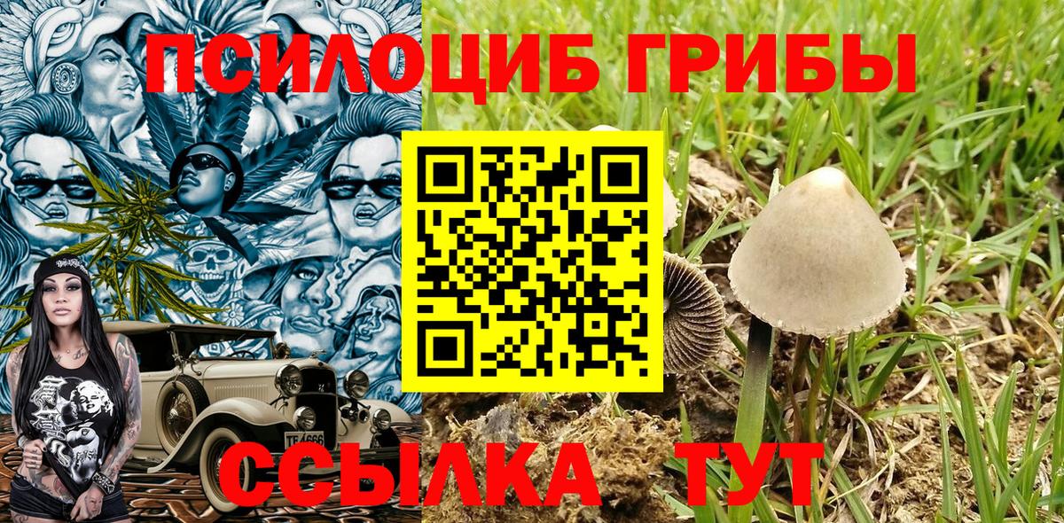 Псилоцибиновые грибы прущие грибы  сколько стоит  Ставрополь  Вход с VPN 